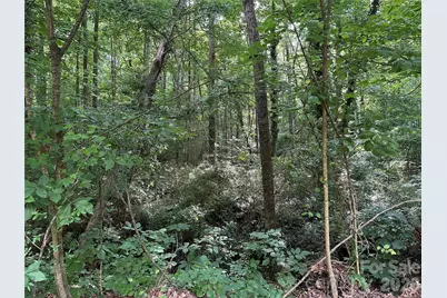 0 Briarcliff Road, Rockwell, NC 28138 - Photo 19