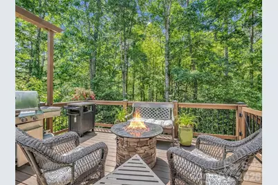 1042 Columbine Road, Asheville, NC 28803 - Photo 45