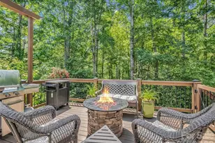 1042 Columbine Rd, Asheville, NC 28803 - Photo 45