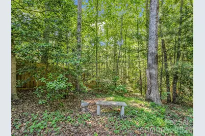 1042 Columbine Road, Asheville, NC 28803 - Photo 43