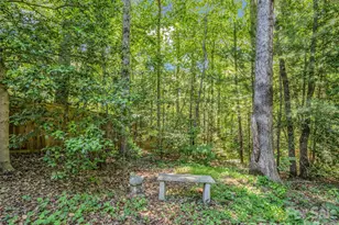 1042 Columbine Rd, Asheville, NC 28803 - Photo 43