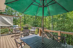 1042 Columbine Rd, Asheville, NC 28803 - Photo 21