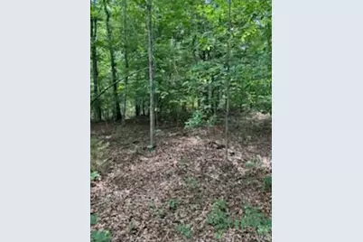 0 Smith Waldrop Road, Columbus, NC 28722 - Photo 9