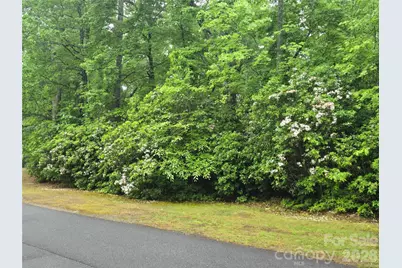 101 Hawks Crest, Brevard, NC 28712 - Photo 5