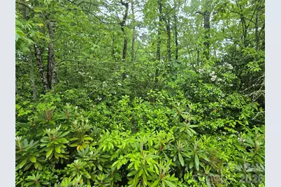 101 Hawks Crest, Brevard, NC 28712 - Photo 9