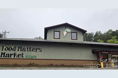 101 Hawks Crest, Brevard, NC 28712 - Photo 27