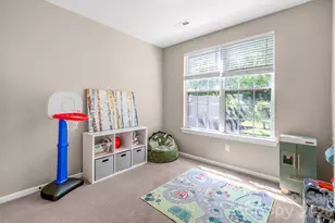 10507 Bere Island Dr, Charlotte, NC 28278 - Photo 19