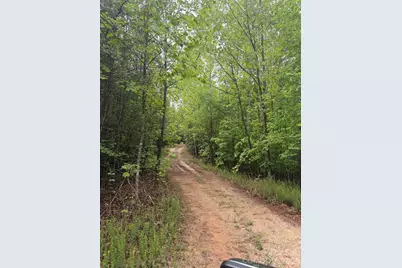 Tract 2 Hill Road, Marion, NC 28752 - Photo 5