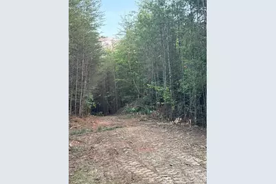 Tract 2 Hill Road, Marion, NC 28752 - Photo 9