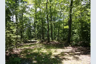 118 Upper Ridge Road, Bostic, NC 28018 - Photo 13