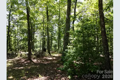 118 Upper Ridge Road, Bostic, NC 28018 - Photo 11