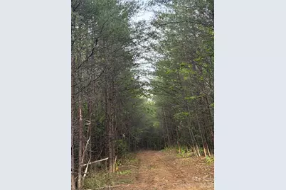 Tract 3 Hill Road, Marion, NC 28752 - Photo 7