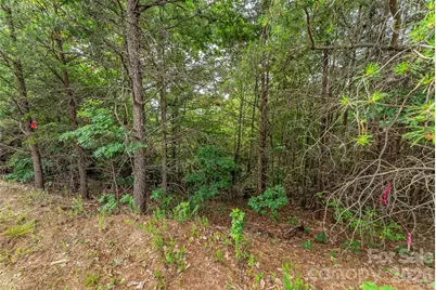 0 Brighton Drive #237, Bostic, NC 28018 - Photo 17