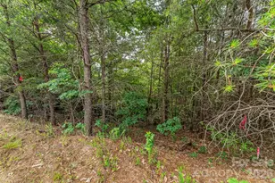 0 Brighton Dr, Bostic, NC 28018 - Photo 17