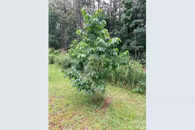 14851 Bethel Avenue Extension, Midland, NC 28107 - Photo 31