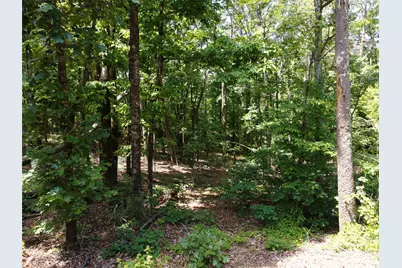 132 Valleyview Drive, Bostic, NC 28018 - Photo 17