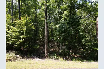 132 Valleyview Drive, Bostic, NC 28018 - Photo 15