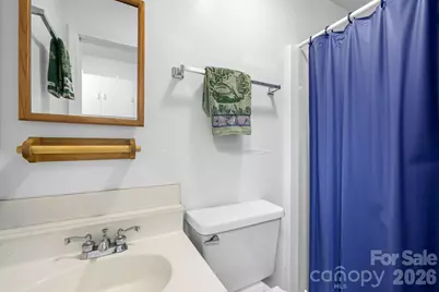 533 Lemons Branch Road, Bryson City, NC 28713 - Photo 25
