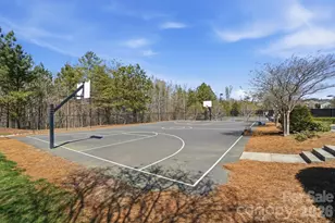 1282 Yellow Springs Dr, Fort Mill, SC 29707 - Photo 33