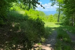 105 Dotsu Trl, Maggie Valley, NC 28751 - Photo 5
