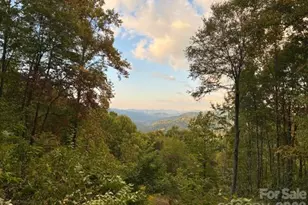 105 Dotsu Trl, Maggie Valley, NC 28751 - Photo 15