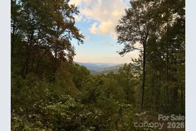 105 Dotsu Trail, Maggie Valley, NC 28751 - Photo 13