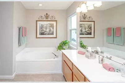 9301 Hanworth Trace Drive, Charlotte, NC 28277 - Photo 29