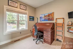 18 Ada's Way, Weaverville, NC 28787 - Photo 27