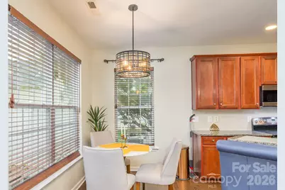 10732 Trolley Run Drive, Cornelius, NC 28031 - Photo 17