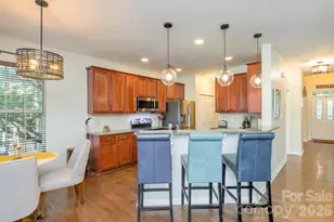 10732 Trolley Run Dr, Cornelius, NC 28031 - Photo 23