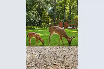 2540 Bain Farm Road, Mint Hill, NC 28227 - Photo 35