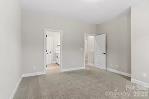 137 Cherry Spgs Ln, Asheville, NC 28804 - Photo 27