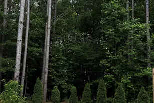 145 Crooked Branch Way, Troutman, NC 28166 - Photo 3