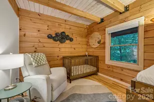 192 Dewitt Barnett Rd, Vilas, NC 28692 - Photo 17