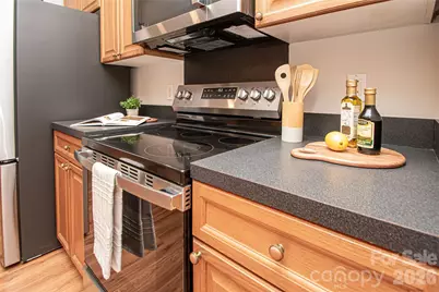 1621 Mountain Ashe Court, Matthews, NC 28105 - Photo 23