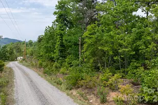7042 Martin Ln, Morganton, NC 28655 - Photo 25