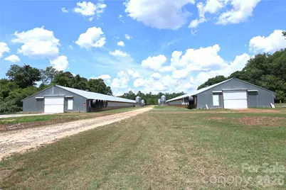 2121 Whitetail Road, Blackville, SC 29817 - Photo 1