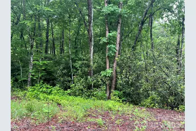 [Address not provided], Sylva, NC 28779 - Photo 1