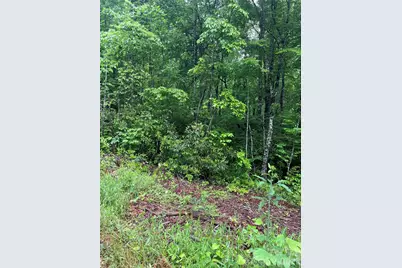 [Address not provided], Sylva, NC 28779 - Photo 3