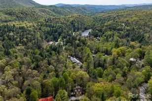 145 Jeter Mountain Rd, Hendersonville, NC 28739 - Photo 5