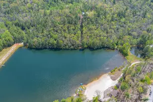 1971 Swiss Pine Lake Dr, Spruce Pine, NC 28777 - Photo 35