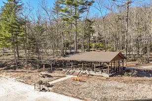 1971 Swiss Pine Lake Dr, Spruce Pine, NC 28777 - Photo 45