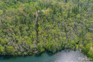 1971 Swiss Pine Lake Dr, Spruce Pine, NC 28777 - Photo 41