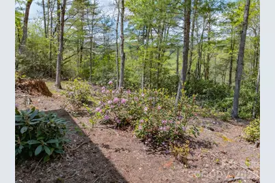 1971 Swiss Pine Lake Drive, Spruce Pine, NC 28777 - Photo 39