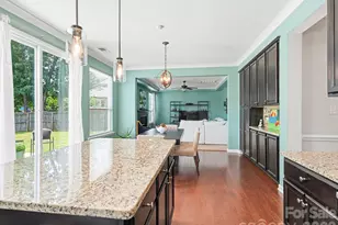 13502 Reunion St, Charlotte, NC 28278 - Photo 11