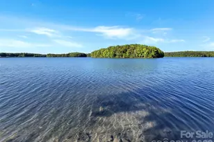706 Northeast Dr, Davidson, NC 28036 - Photo 21