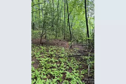 Lot 68 Cherrywood Lane, Pisgah Forest, NC 28768 - Photo 1