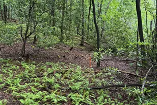 Lot 68 Cherrywood Ln, Pisgah Forest, NC 28768 - Photo 1