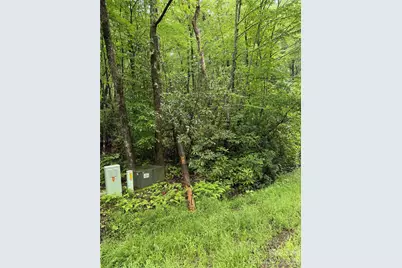 Lot 68 Cherrywood Lane, Pisgah Forest, NC 28768 - Photo 3