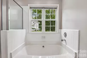 12 Wineberry Ct, Fletcher, NC 28732 - Photo 29